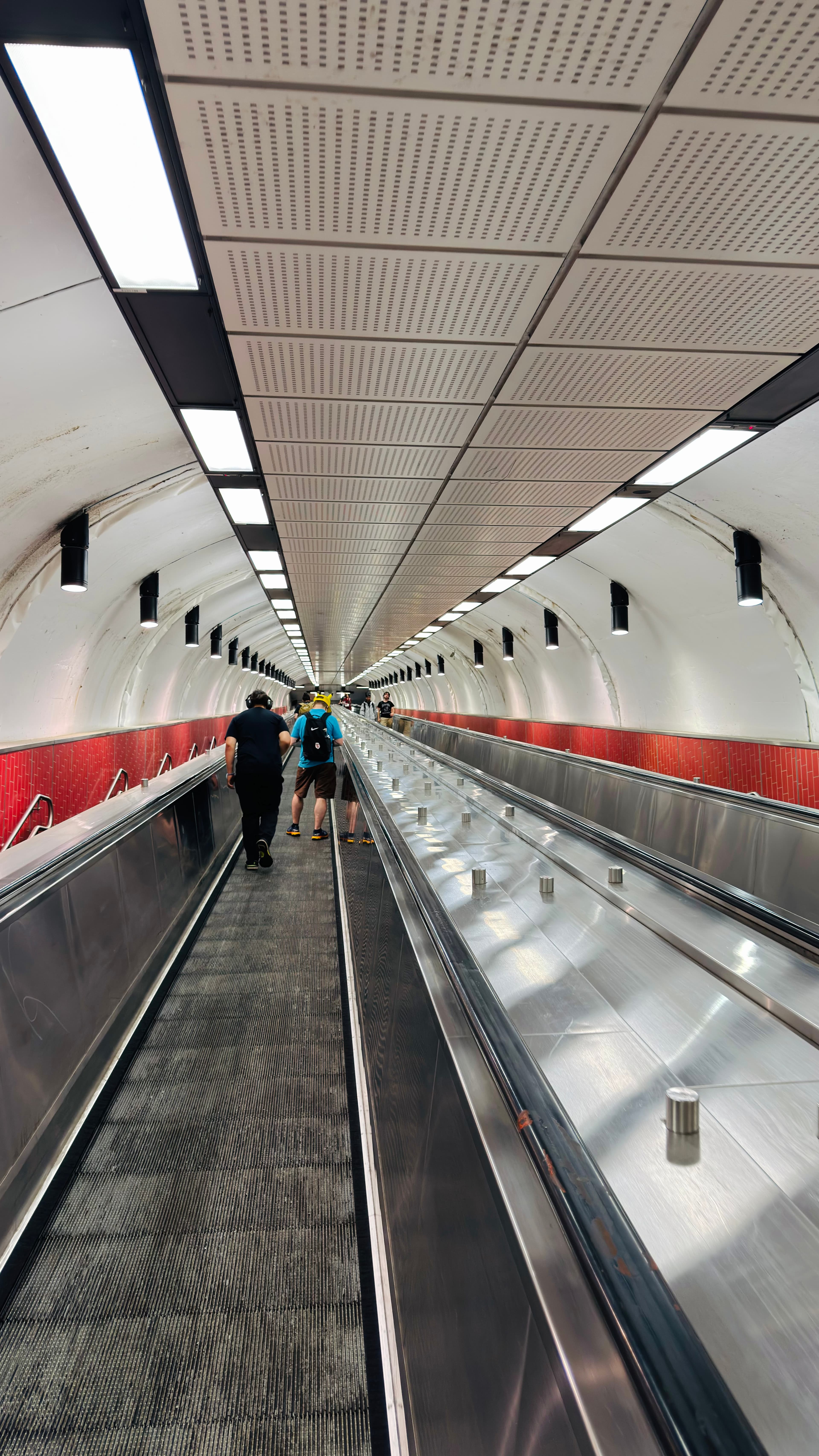 The tube.