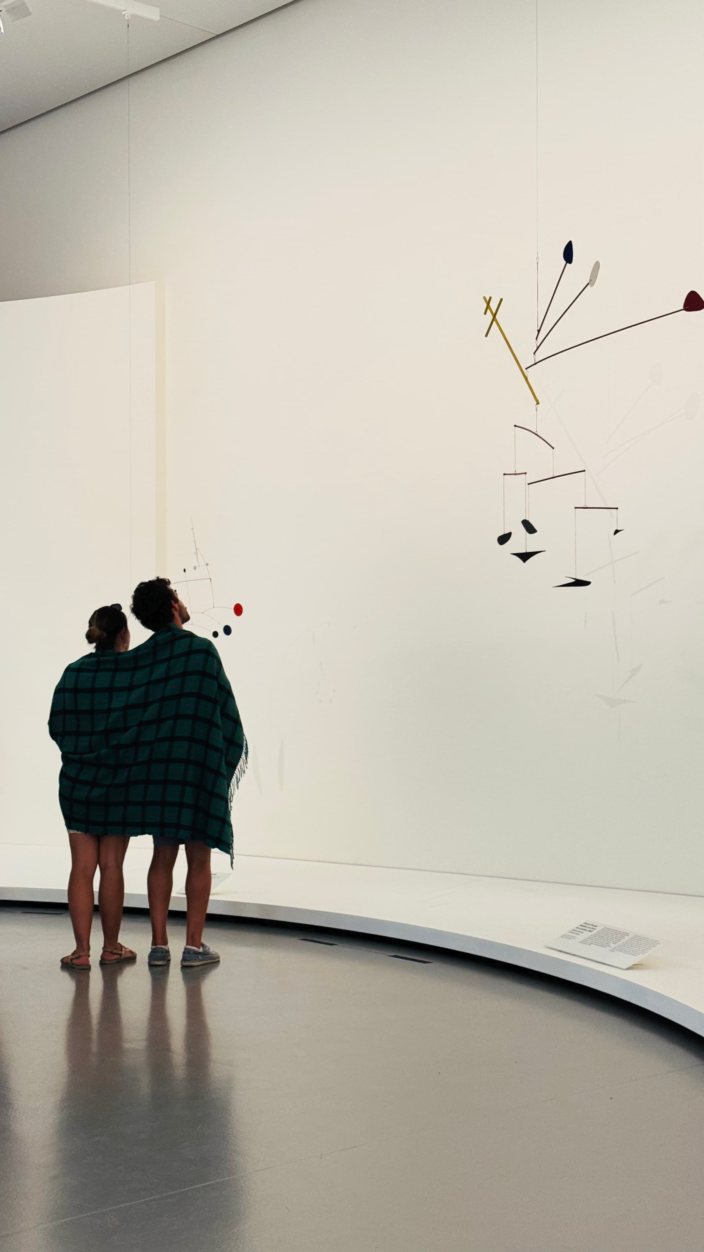 People contemplating one of many Calder’s art pieces. The AC was so cold in the museum, this couple had a blanket, which helped make this photo a bit strange.