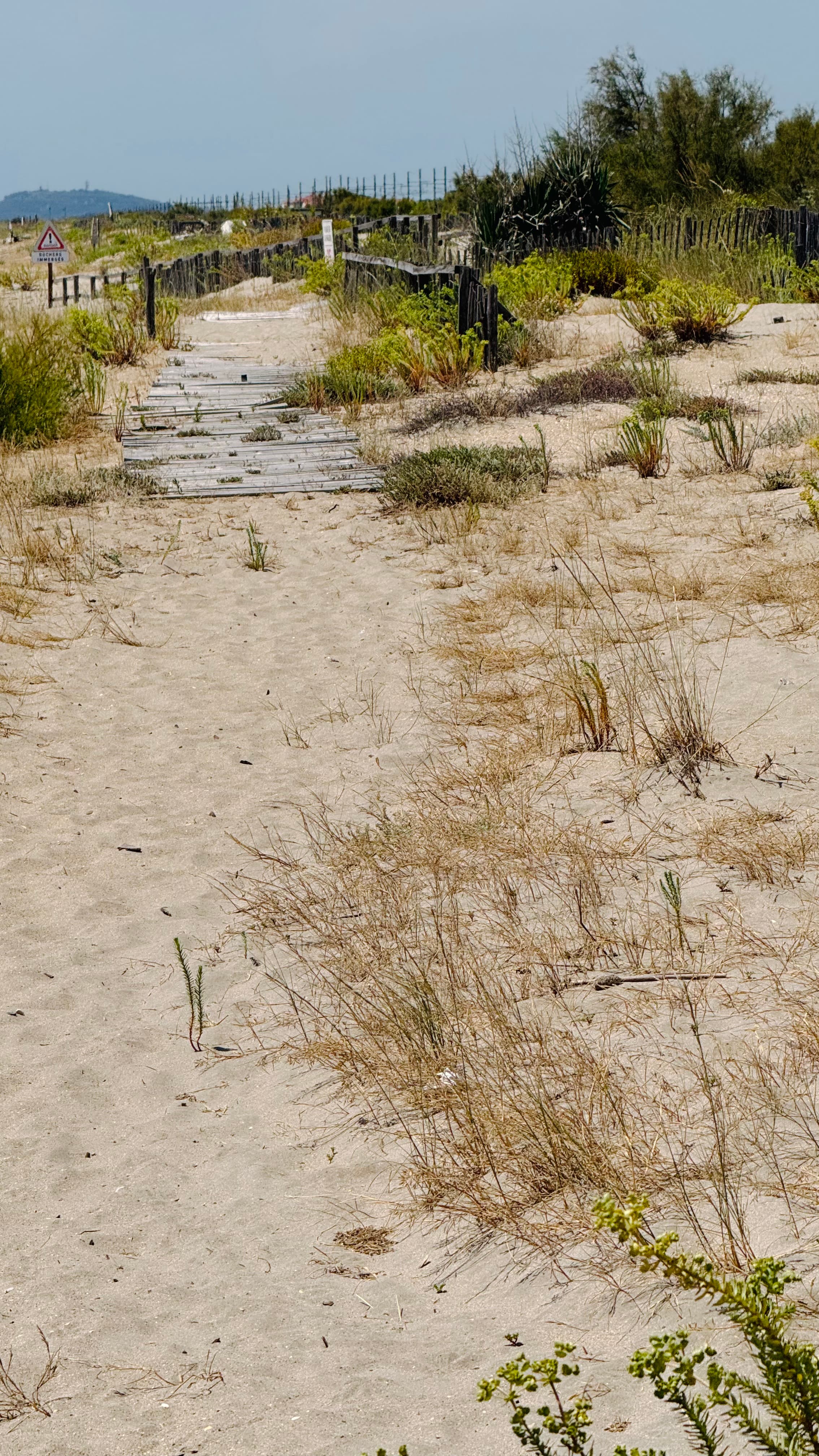 On the road to Sète, France, with a stop at the beach.
