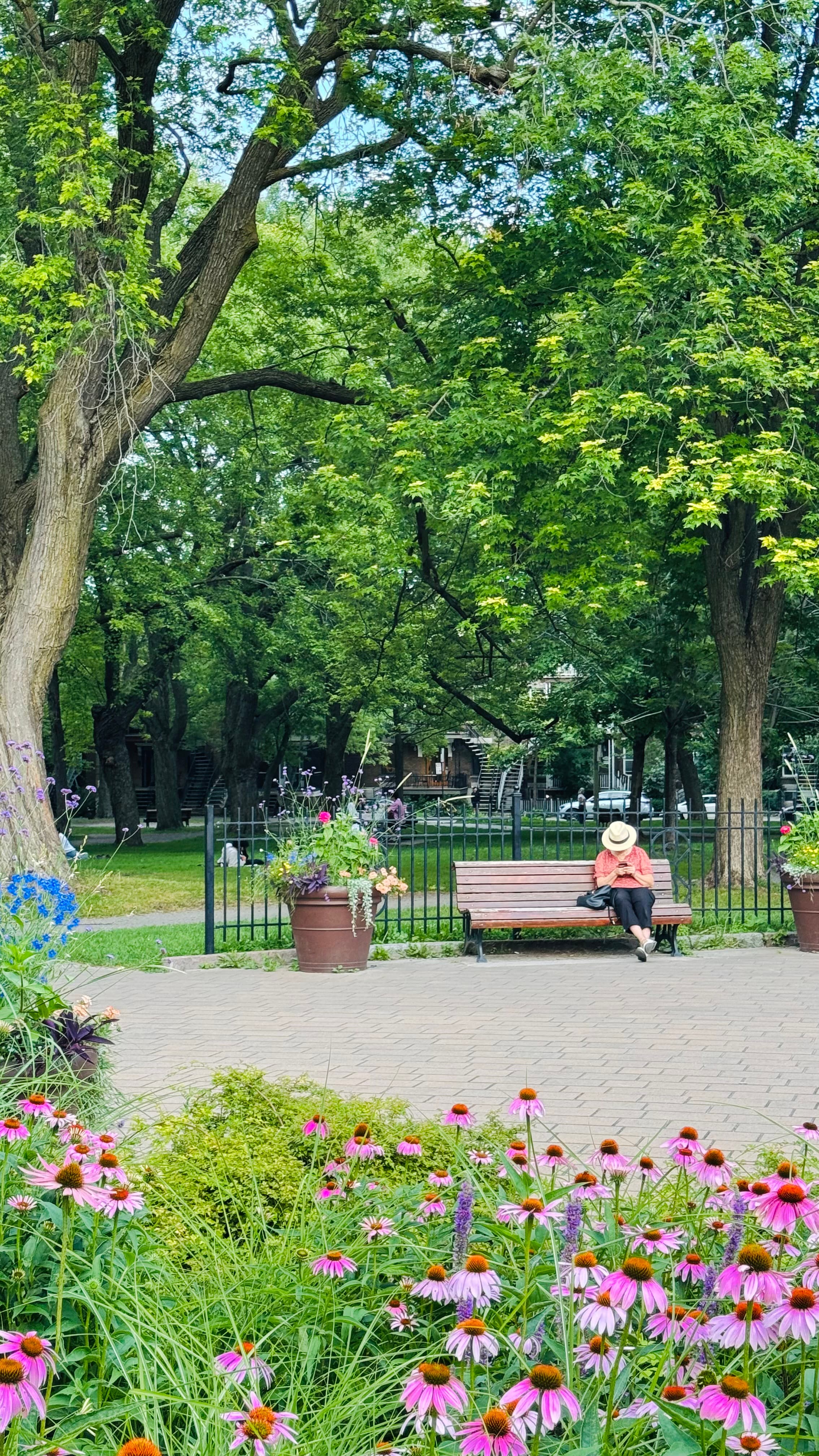 The best public park in Montreal, the Sir Wilfrid Laurier park, where I used to stay close. I go there from time to time.