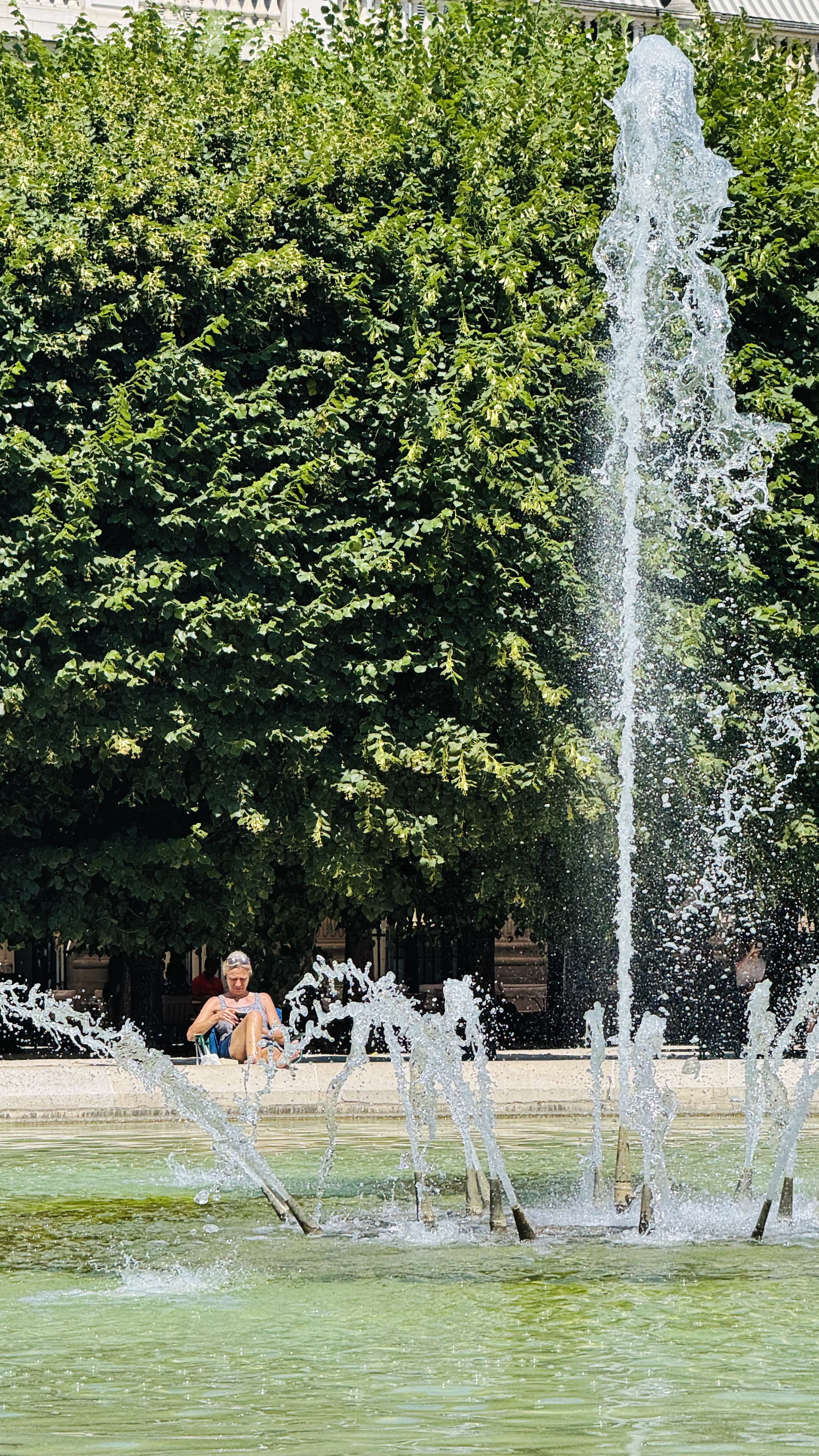 People are searching for shades and fountains. I鈥檓 currently sitting there under the trees. So hot here! 馃槄