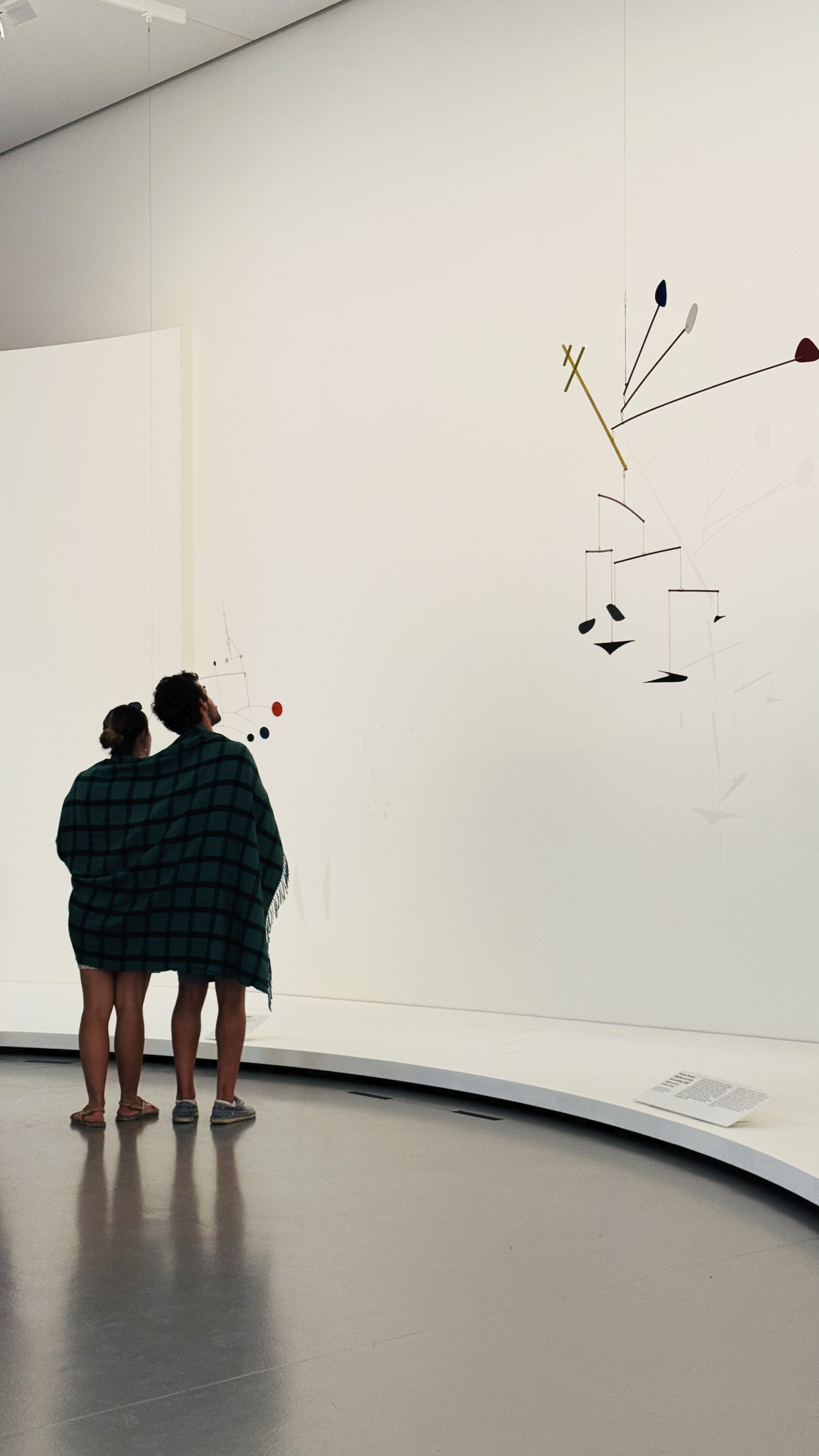 People contemplating one of many Calder’s art pieces. The AC was so cold in the museum, this couple had a blanket, which helped make this photo a bit strange.