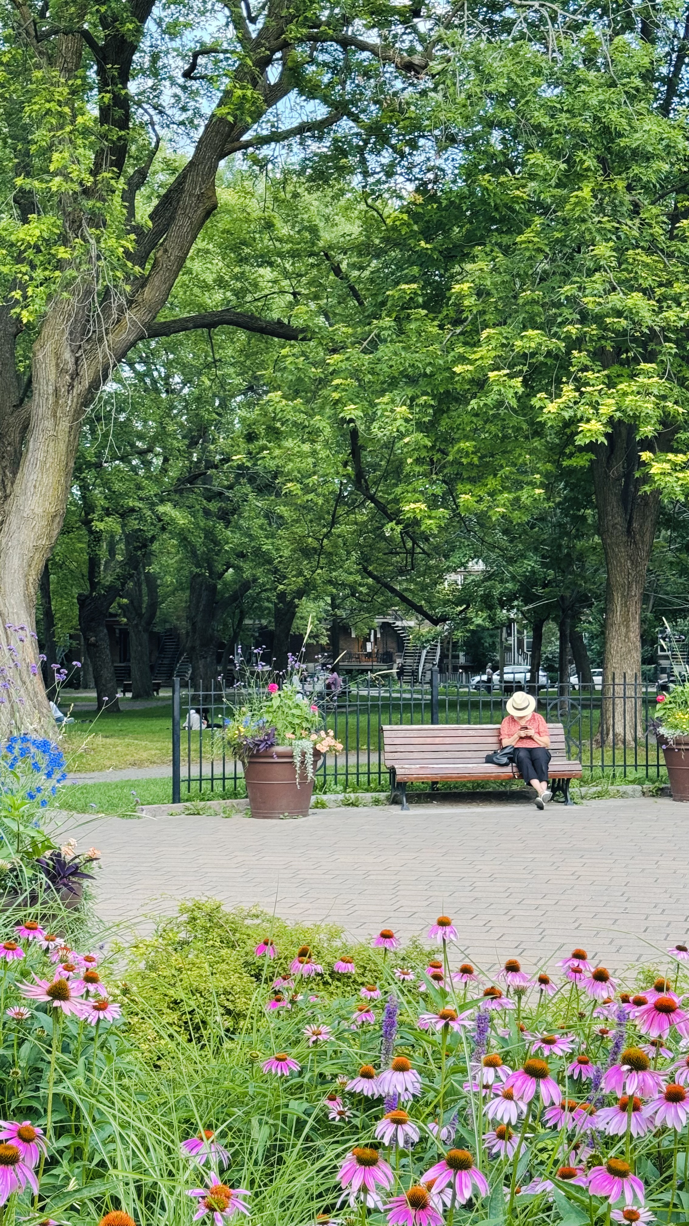 The best public park in Montreal, the Sir Wilfrid Laurier park, where I used to stay close. I go there from time to time.